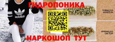 прущие крисы Краснодар