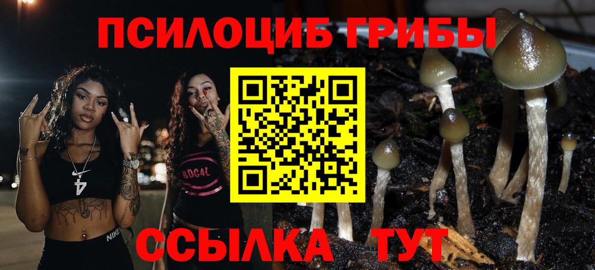 Галлюциногенные грибы Magic Shrooms  Вход с VPN  Псилоцибиновые грибы ЛСД  Горячий Ключ 